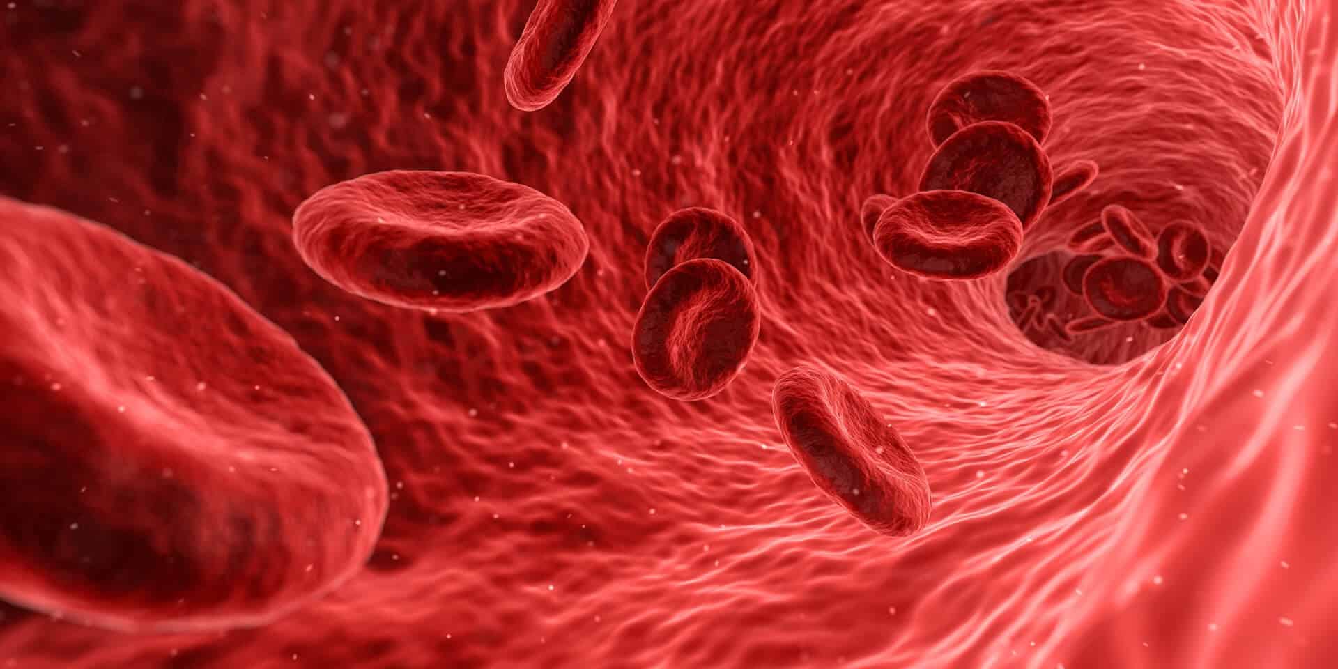 Hemofilie – Informații utile despre simptomatologie, cauze și modalități de tratament